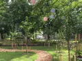 En vacker fruktlund med en slingrande stig av träflis. Ljusa papperslyktor hänger i träden och skapar en festlig stämning.