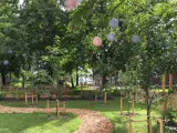En vacker fruktlund med en slingrande stig av träflis. Ljusa papperslyktor hänger i träden och skapar en festlig stämning.